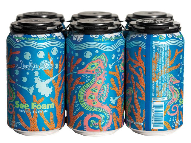 See Foam 6-pack.jpg