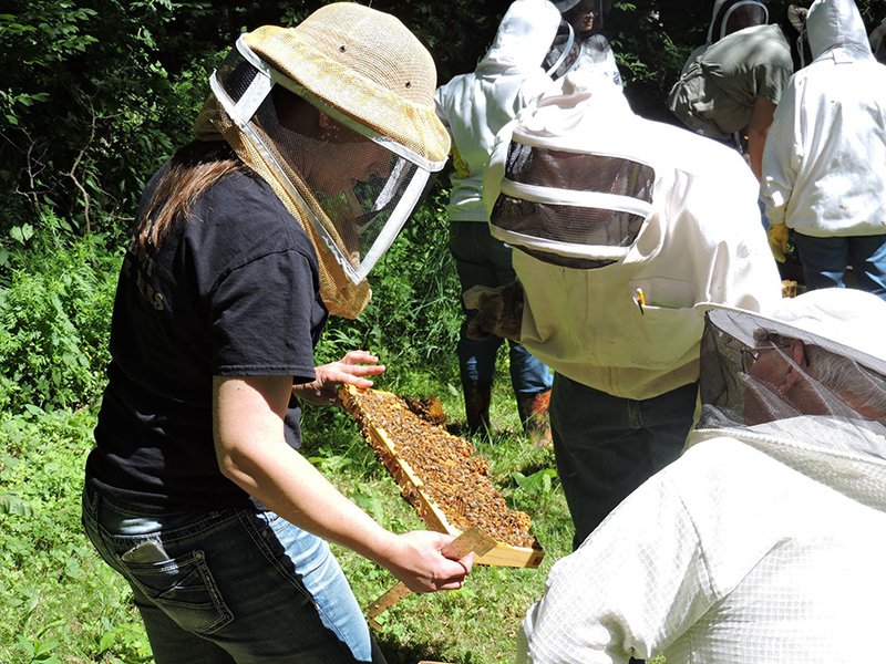 8-5 Gardening Gurus Is Beekeeping For You.jpg